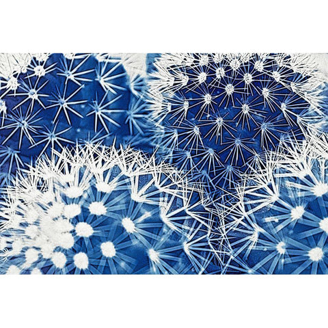 Blue and Prickly II  White Modern Wood Framed Art Print by Vincze