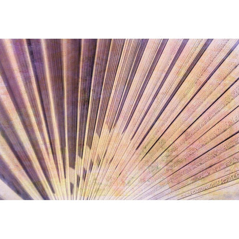 Palm Leaf Elements II Black Modern Wood Framed Art Print with Double Matting by Vincze