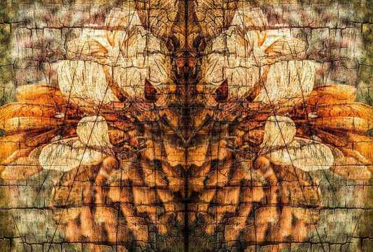 Image Only