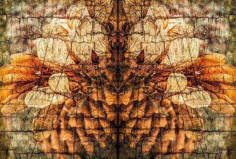 Autumnal Spirit I Black Ornate Wood Framed Art Print with Double Matting by Vincze