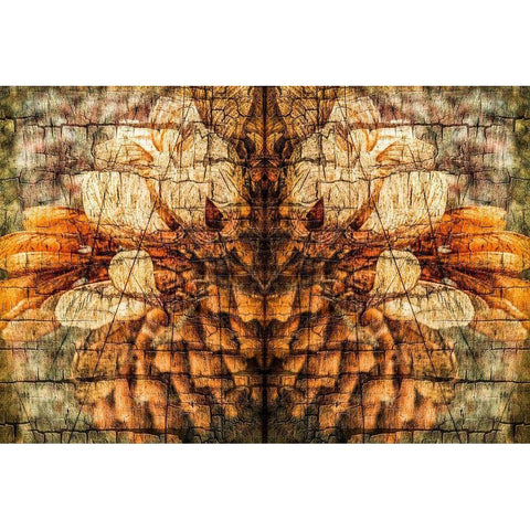 Autumnal Spirit I Black Modern Wood Framed Art Print by Vincze
