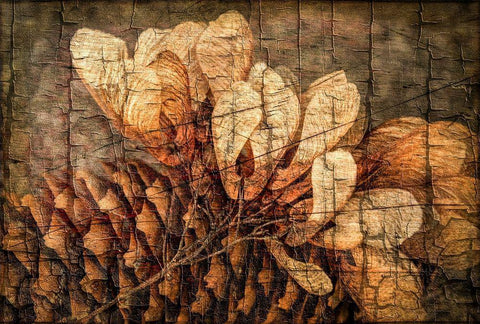 Autumnal Details I Black Ornate Wood Framed Art Print with Double Matting by Vincze