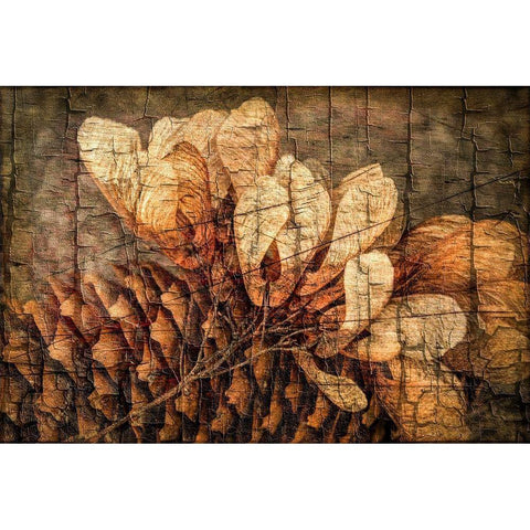 Autumnal Details I Black Modern Wood Framed Art Print by Vincze