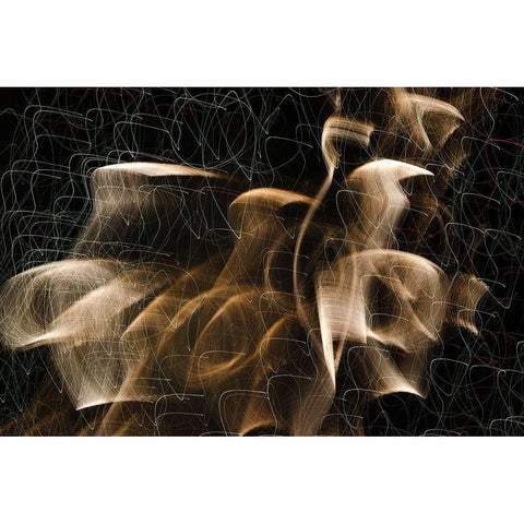 Gold Chiffon Squiggly Black Modern Wood Framed Art Print with Double Matting by Stahl, David