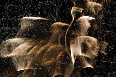 Gold Chiffon Squiggly Black Ornate Wood Framed Art Print with Double Matting by Stahl, David