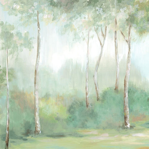 Foggy Forest Mystery I White Modern Wood Framed Art Print with Double Matting by Mavis, Luna