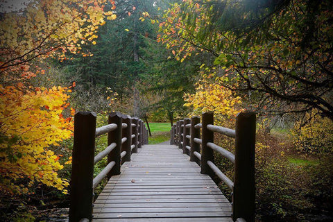Autumns Bridge  Black Ornate Wood Framed Art Print with Double Matting by Susan Vizvary Photography