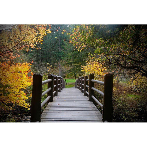 Autumns Bridge  Black Modern Wood Framed Art Print with Double Matting by Susan Vizvary Photography