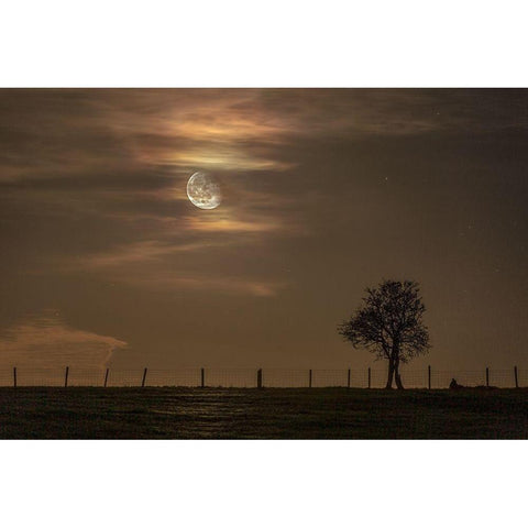 Moon Tree Gold Ornate Wood Framed Art Print with Double Matting by Nocturna
