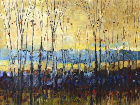 A field through trees White Modern Wood Framed Art Print with Double Matting by Kroeker, Wendy