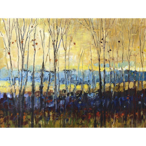 A field through trees Black Modern Wood Framed Art Print by Kroeker, Wendy