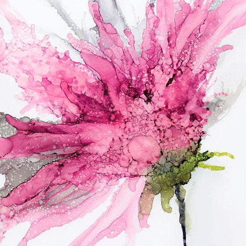 Pink Spider Flower White Modern Wood Framed Art Print by Kroker, Wendy