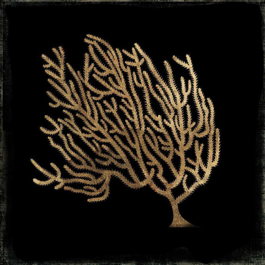 Image Only