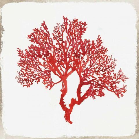 Red Coral II White Modern Wood Framed Art Print by Wilson, Aimee