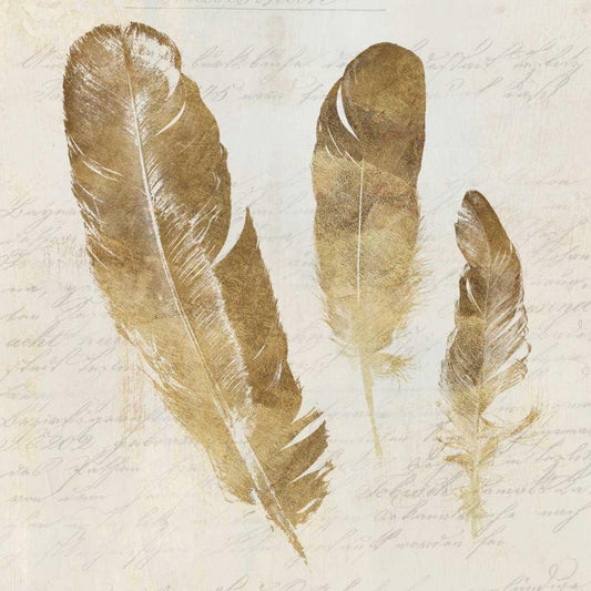 Image Only