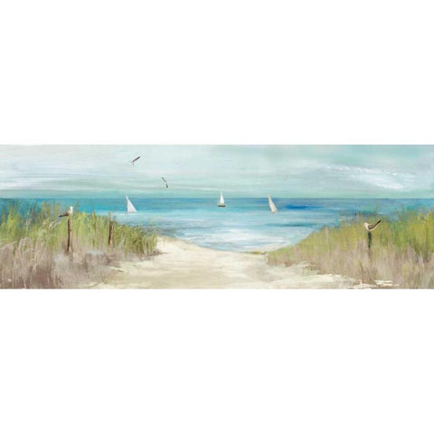 Beachlong Birds Black Modern Wood Framed Art Print with Double Matting by Wilson, Aimee