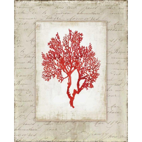 Red Coral II  Black Modern Wood Framed Art Print with Double Matting by Wilson, Aimee