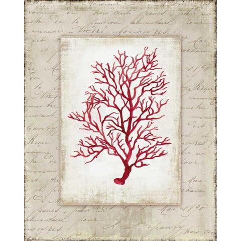 Red Coral III White Modern Wood Framed Art Print by Wilson, Aimee