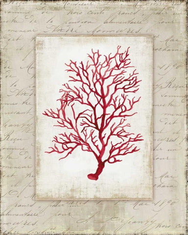 Red Coral III White Modern Wood Framed Art Print with Double Matting by Wilson, Aimee