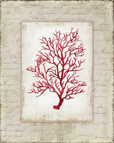 Red Coral III Black Ornate Wood Framed Art Print with Double Matting by Wilson, Aimee