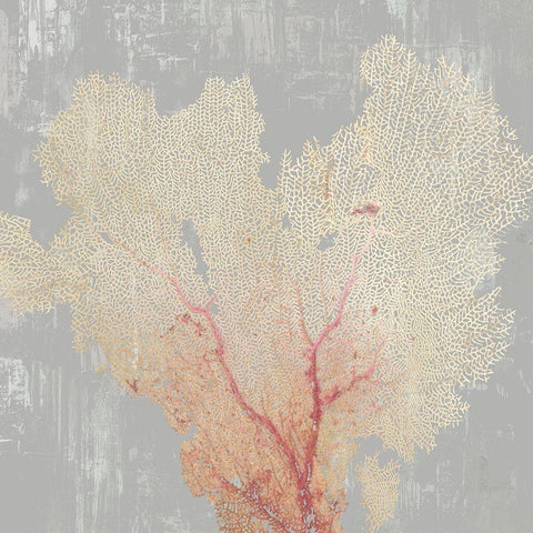 Blush Coral I  White Modern Wood Framed Art Print by Wilson, Aimee