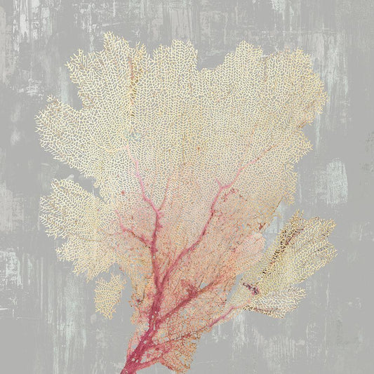 Image Only