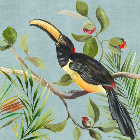 Paradise Toucan II Black Modern Wood Framed Art Print with Double Matting by Wilson, Aimee