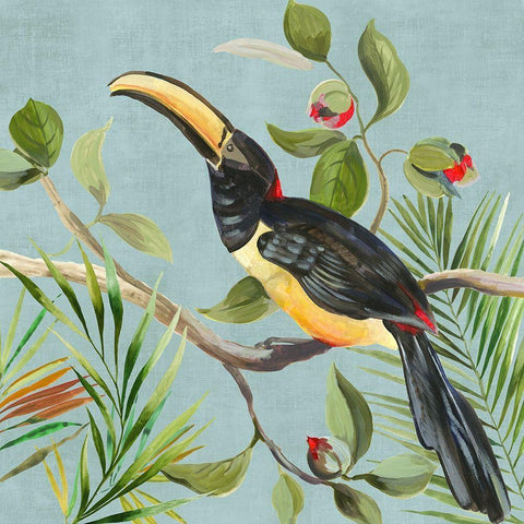 Paradise Toucan II White Modern Wood Framed Art Print with Double Matting by Wilson, Aimee