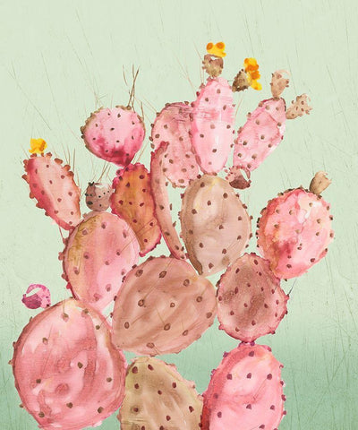 Pink Cacti White Modern Wood Framed Art Print with Double Matting by Wilson, Aimee
