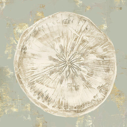 Image Only