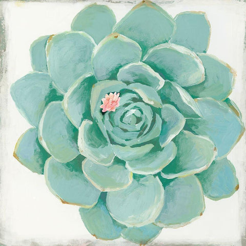 Pastel Succulent I Black Modern Wood Framed Art Print with Double Matting by Wilson, Aimee