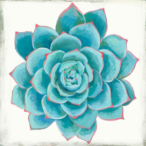 Pastel Succulent II Black Ornate Wood Framed Art Print with Double Matting by Wilson, Aimee
