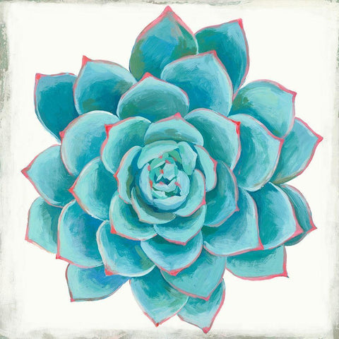 Pastel Succulent II Black Modern Wood Framed Art Print with Double Matting by Wilson, Aimee