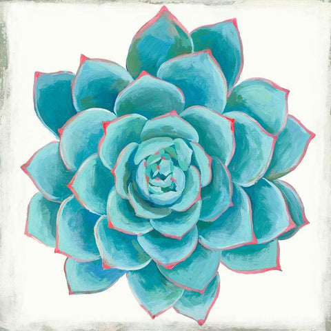 Pastel Succulent II Gold Ornate Wood Framed Art Print with Double Matting by Wilson, Aimee