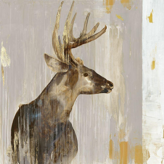 Image Only