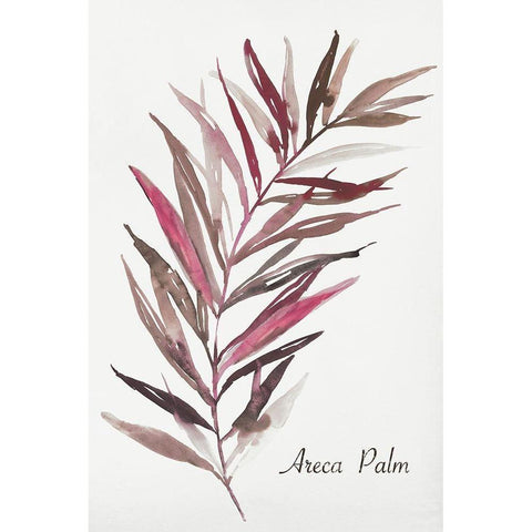 Areca Palm White Modern Wood Framed Art Print by Wilson, Aimee