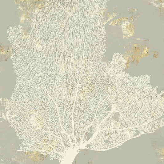 Image Only