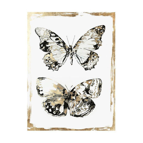 Butterfly Wings  Black Modern Wood Framed Art Print with Double Matting by Wilson, Aimee