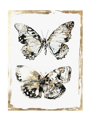 Butterfly Wings  White Modern Wood Framed Art Print with Double Matting by Wilson, Aimee