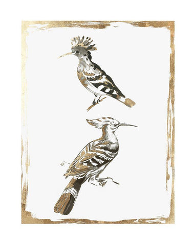 Perched Birds  Black Ornate Wood Framed Art Print with Double Matting by Wilson, Aimee