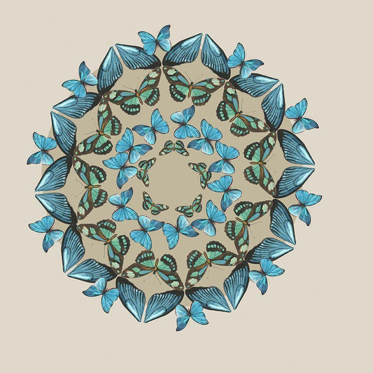 Image Only