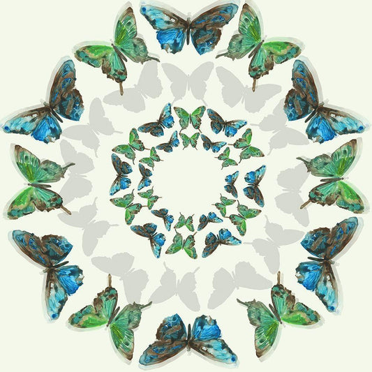 Image Only