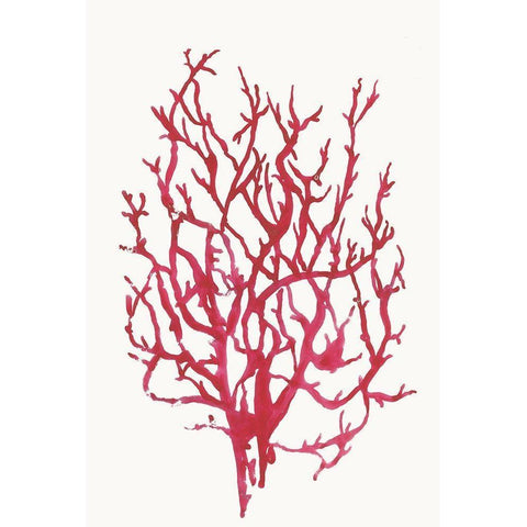 Red Reef Coral I  Black Modern Wood Framed Art Print by Wilson, Aimee