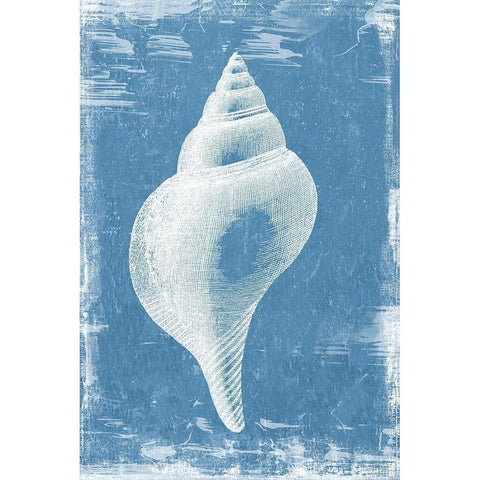 Gifts from the Sea II White Modern Wood Framed Art Print by Wilson, Aimee