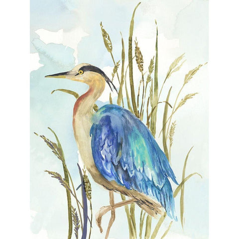 Little Blue Heron Black Modern Wood Framed Art Print with Double Matting by Wilson, Aimee