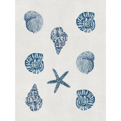 Indigo Shells Black Modern Wood Framed Art Print by Wilson, Aimee