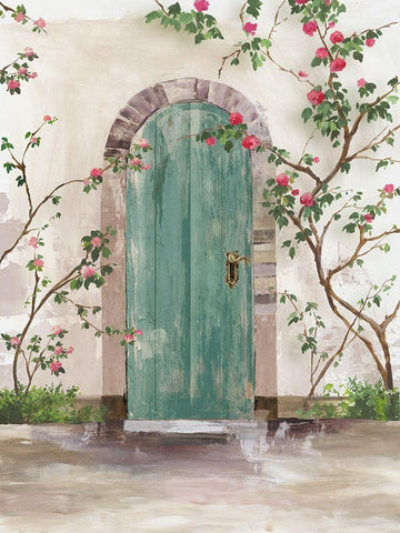 Arch Door with Roses  White Modern Wood Framed Art Print with Double Matting by Wilson, Aimee