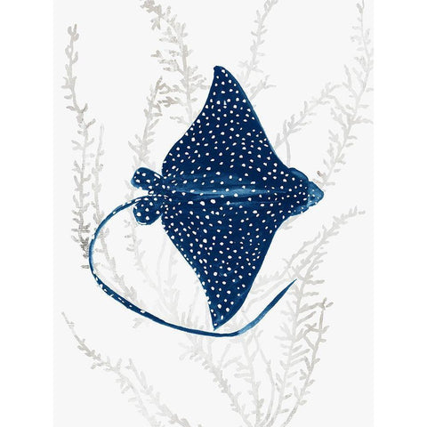 Blue Stingray I  Black Modern Wood Framed Art Print with Double Matting by Wilson, Aimee