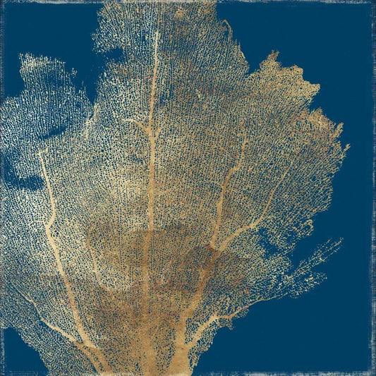 Image Only