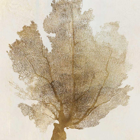 Image Only